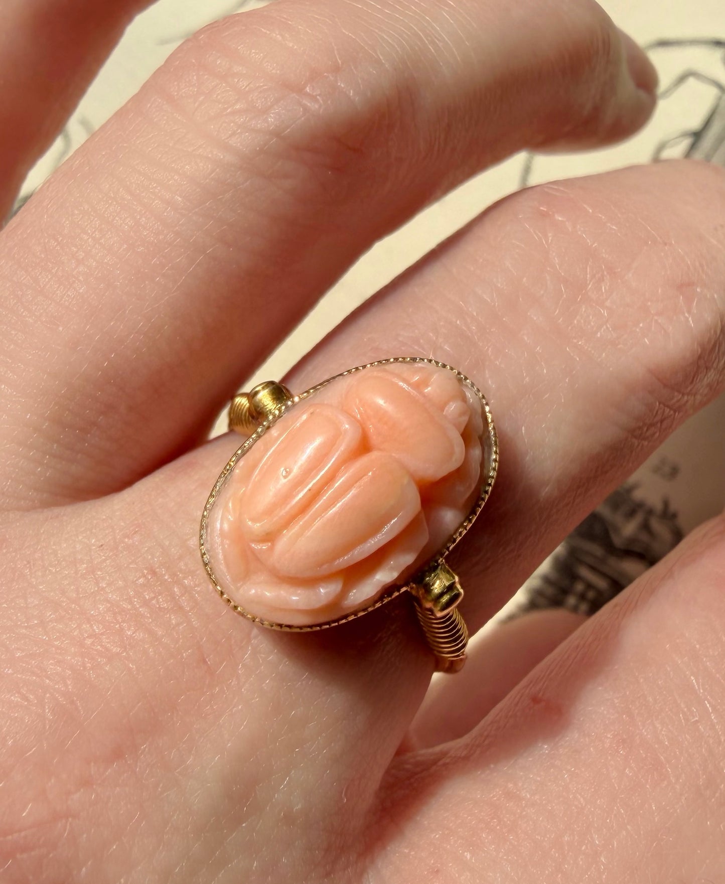 ANTIQUE • Archeological Revival 14k Yellow Gold Carved Coral Scarab Ring