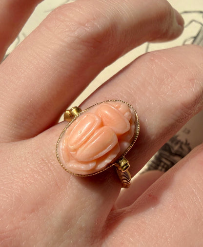 ANTIQUE • Archeological Revival 14k Yellow Gold Carved Coral Scarab Ring