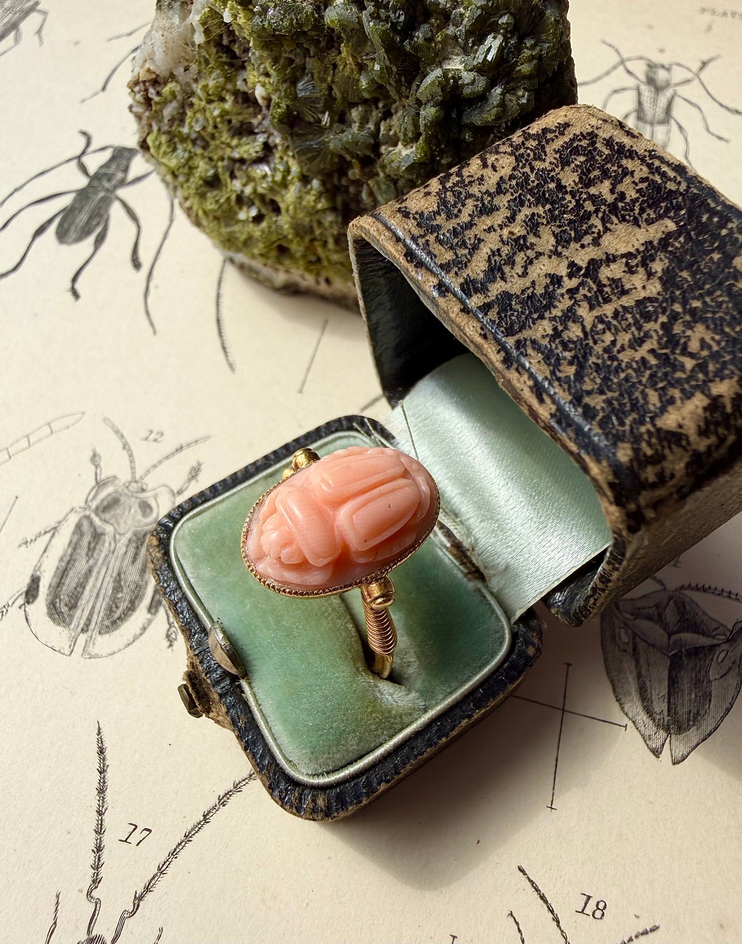 ANTIQUE • Archeological Revival 14k Yellow Gold Carved Coral Scarab Ring
