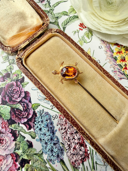 ANTIQUE • Art Nouveau 14k Yellow Gold w/ Madeira Citrine Turtle Stickpin