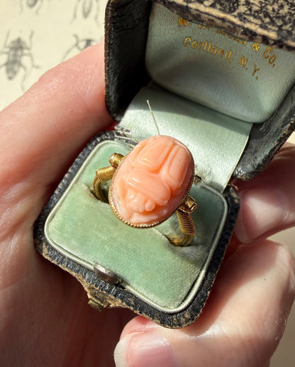 ANTIQUE • Archeological Revival 14k Yellow Gold Carved Coral Scarab Ring