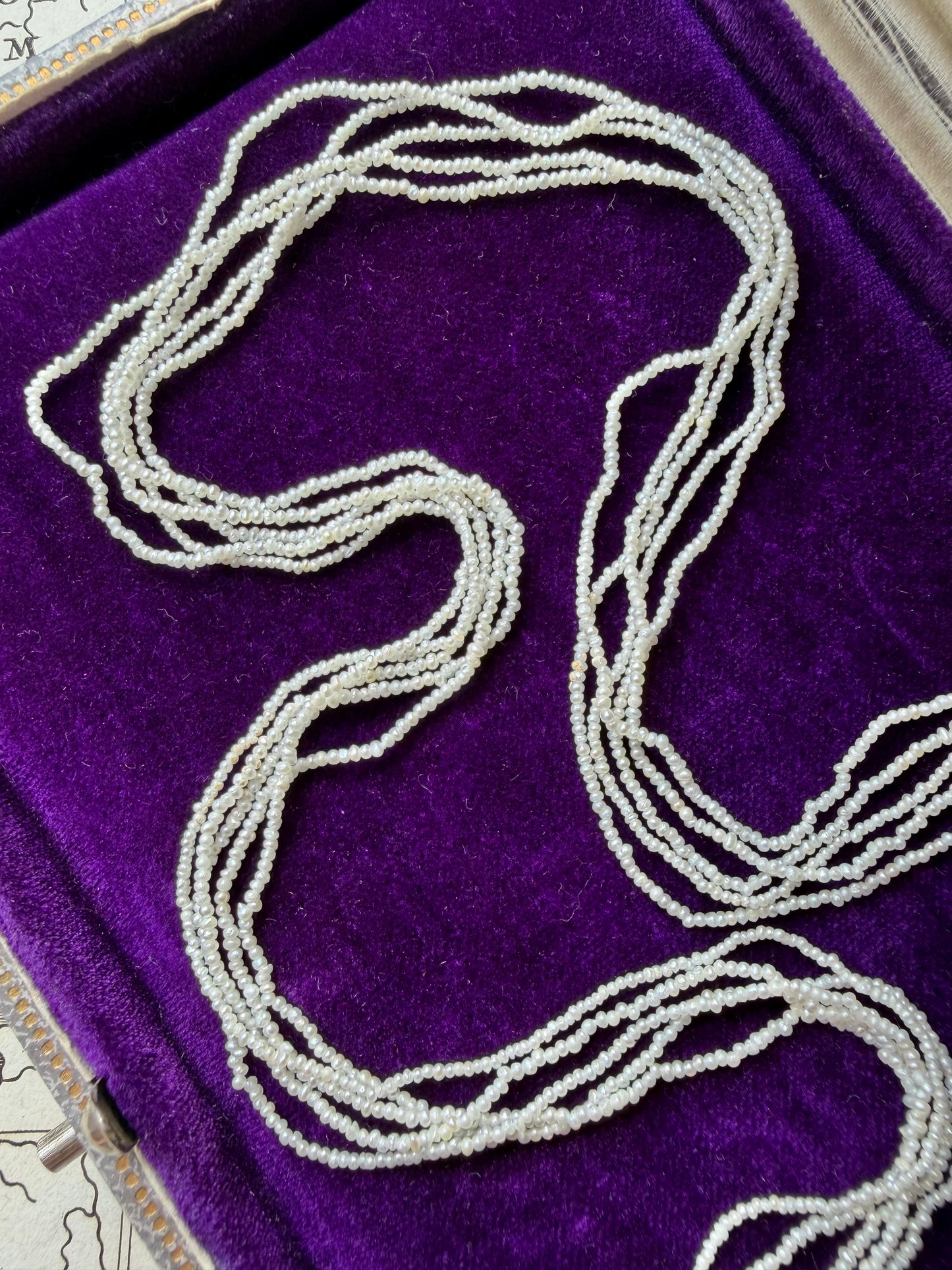 ANTIQUE • Art Nouveau 10k Rosy Yellow Gold 5-Strand Seed Pearl Necklace