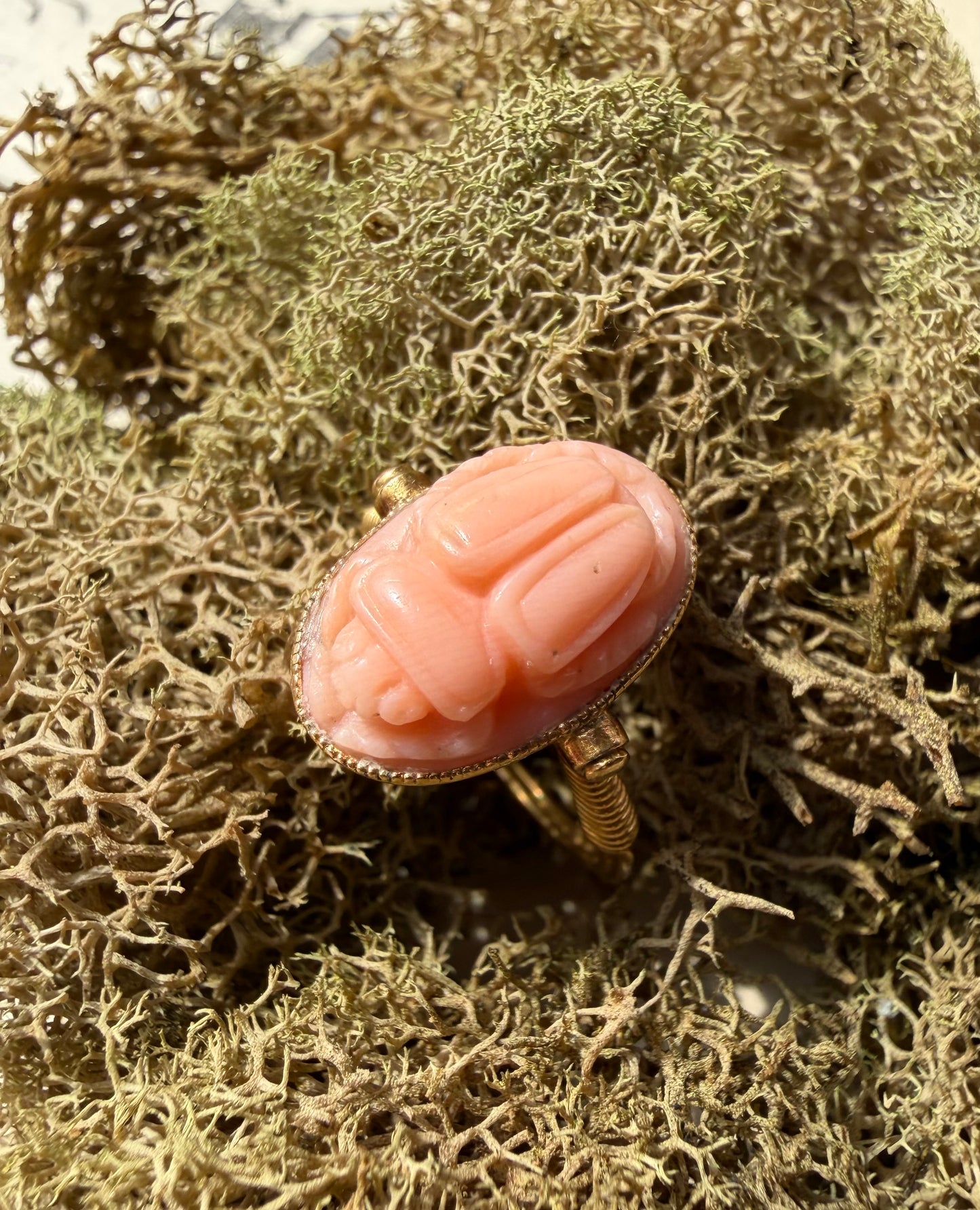 ANTIQUE • Archeological Revival 14k Yellow Gold Carved Coral Scarab Ring