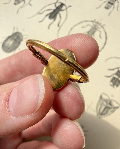 ANTIQUE • Archeological Revival 14k Yellow Gold Carved Coral Scarab Ring
