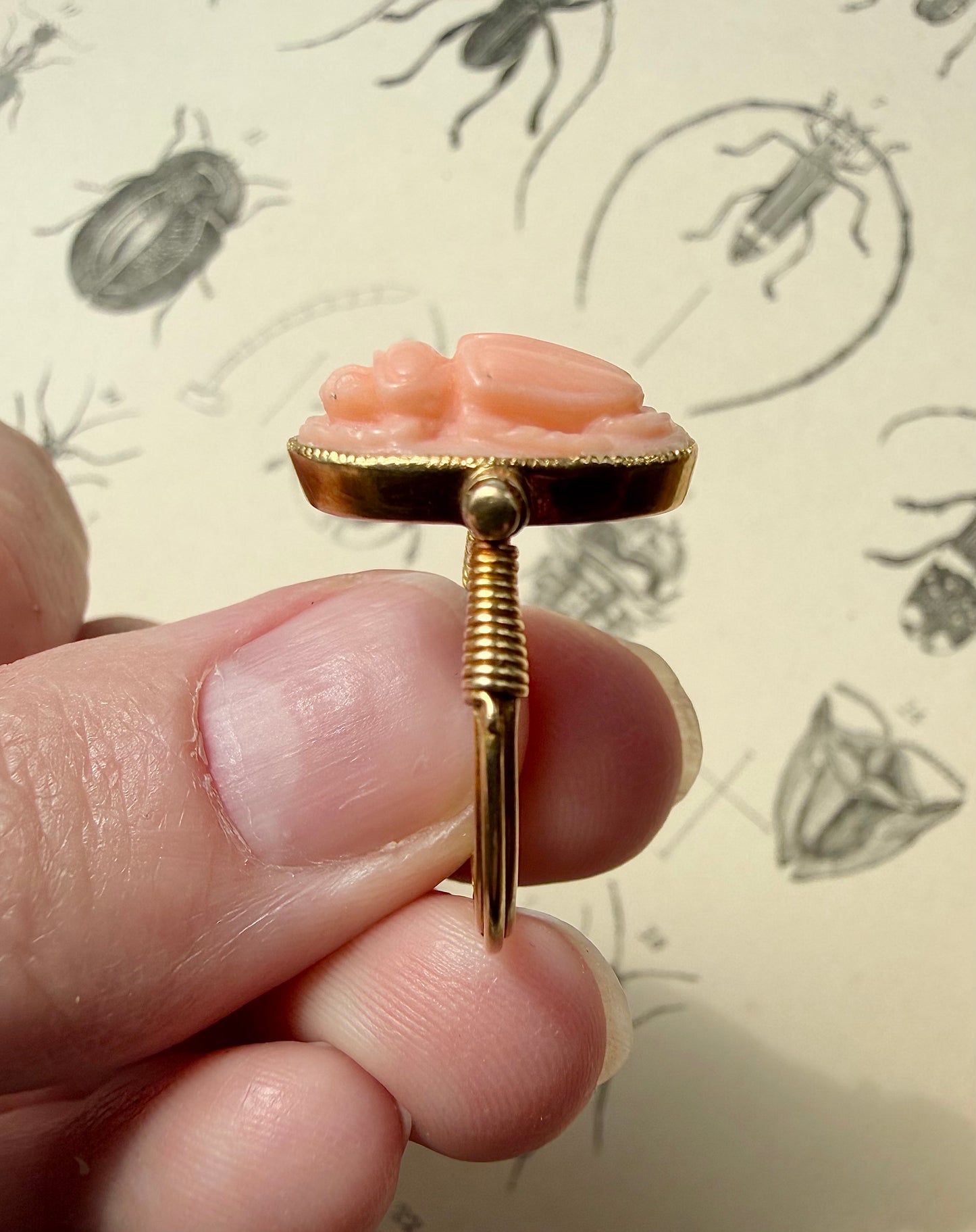 ANTIQUE • Archeological Revival 14k Yellow Gold Carved Coral Scarab Ring