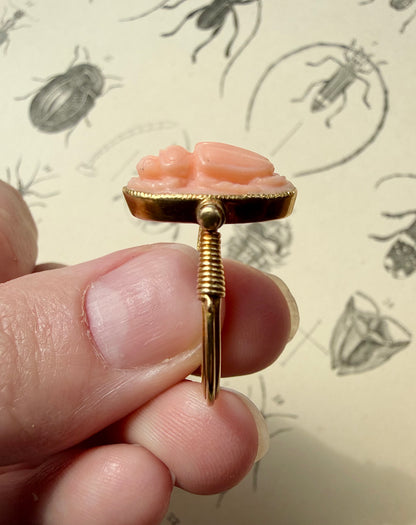 ANTIQUE • Archeological Revival 14k Yellow Gold Carved Coral Scarab Ring