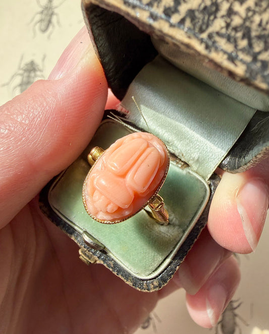 ANTIQUE • Archeological Revival 14k Yellow Gold Carved Coral Scarab Ring