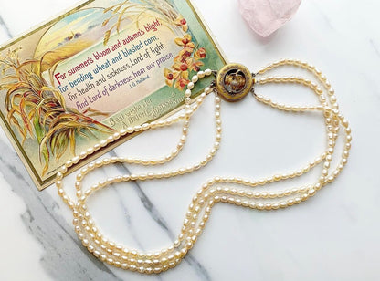 ANTIQUE • Victorian Triple Strand Freshwater Pearl Necklace w/ 14k Etruscan Style Acorn Clasp