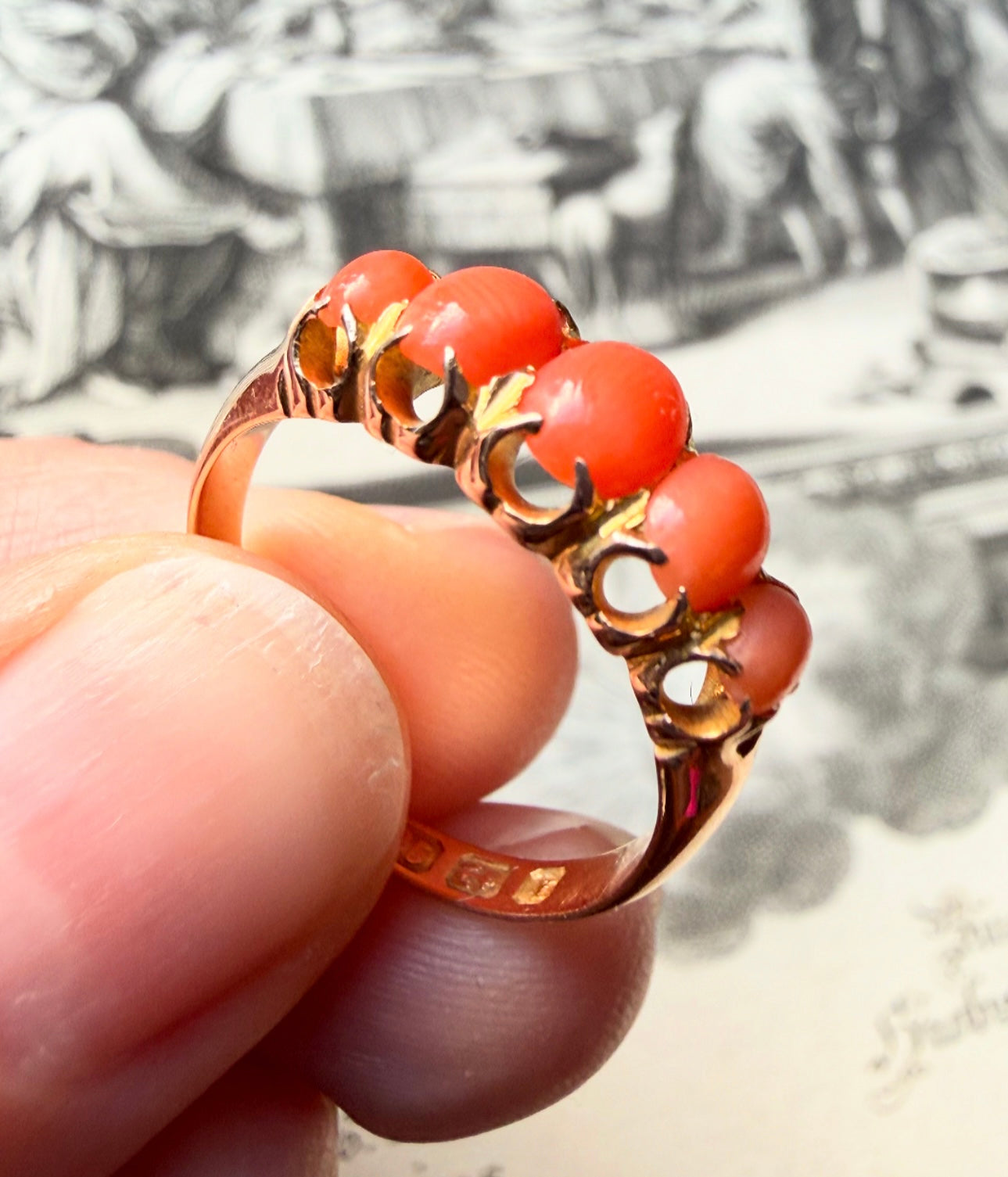 ANTIQUE • Victorian 15ct Yellow Gold Natural Coral 5-Stone Ring