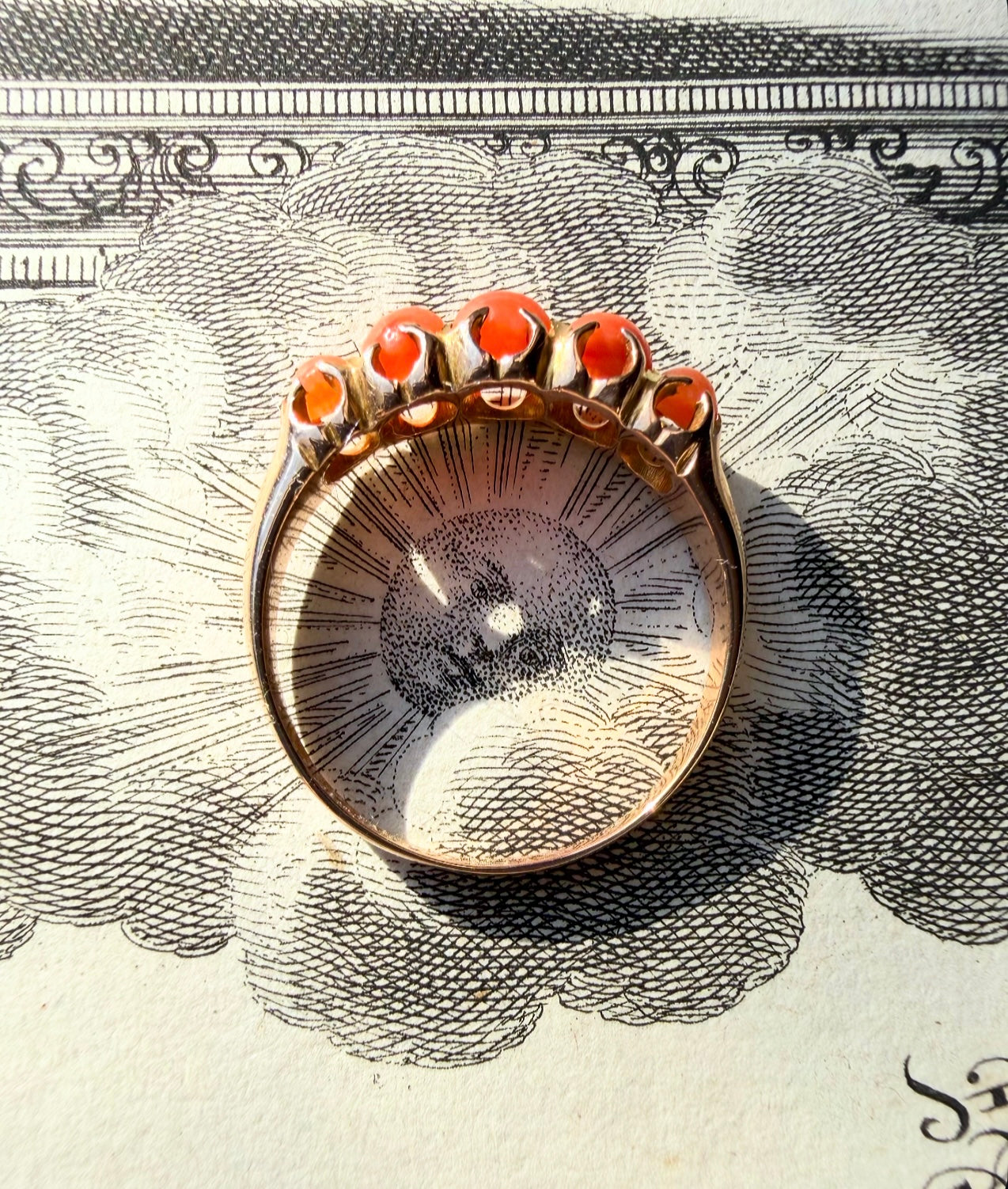 ANTIQUE • Victorian 15ct Yellow Gold Natural Coral 5-Stone Ring